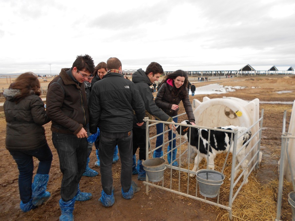 Biología IES Pedro de Luna Visita HTM Biogas 1-M