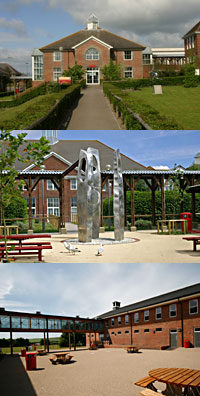 school_montage